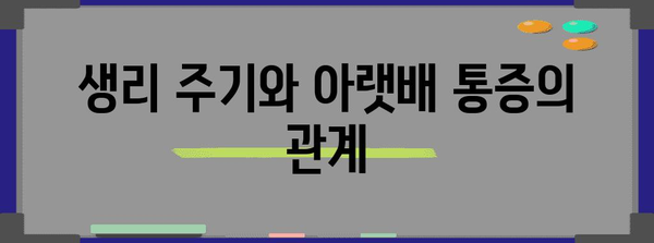 아랫배 통증의 원인과 증상 | 남자와 여자의 차이점 파헤치기