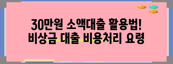 30만원 소액대출 활용법! 비상금 대출 비용처리 요령