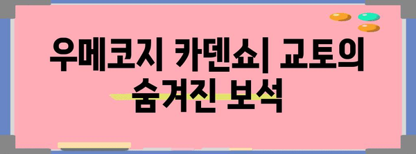 교토 숙박의 은밀한 보석 | 가성비 료칸 우메코지 카덴쇼