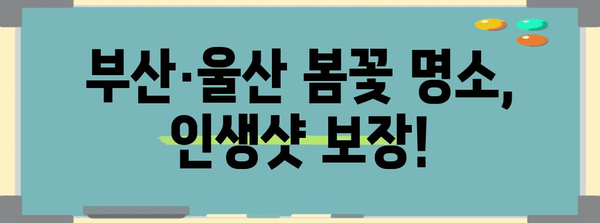 부산, 울산 봄 명소 | 놓치지 마세요!