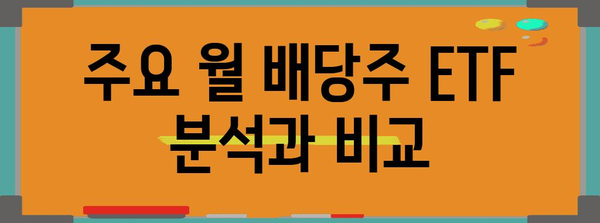 미국 월 배당주 ETF | 성공적인 포트폴리오 구축을 위한 가이드