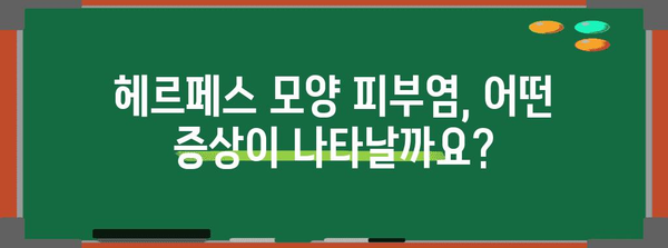 피부염 원인과 증상 가이드 | 헤르페스 모양 피부염 완벽 분석