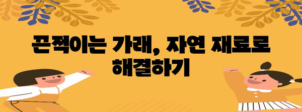 마른 기침과 가래 완화법 | 효과적인 홈 레미디와 치료 방법