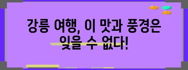 잊지 못할 강릉 여행 | 맛집과 관광지 필수 코스 소개