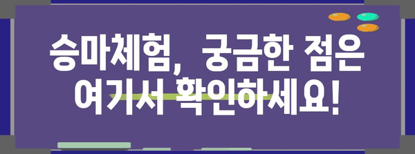 신나는 승마체험 신청 가이드