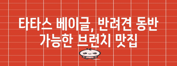 창원 타타스 베이글 | 반려견과 함께하는 달콤한 브런치