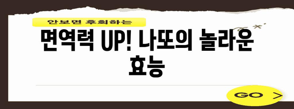 나또로 면역력 UP! 국산 슈퍼푸드의 힘