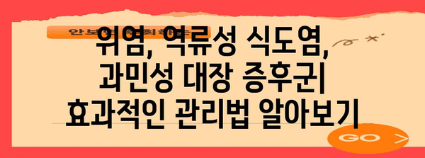 위염, 역류성 식도염, 과민성 대장 증후군 차이점 이해