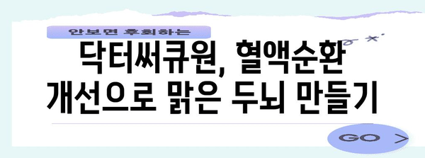 닥터써큐원으로 혈행과 인지 기능 개선하기