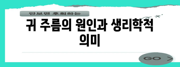 귀 주름과 치매 | 놀라운 연관성을 파헤치기