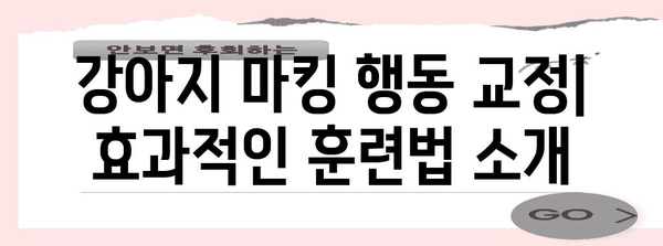 강아지 배변 훈련 | 마킹 제거를 위한 효과적인 방법