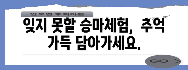 신나는 승마체험 신청 가이드