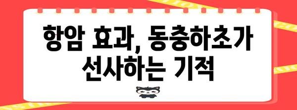 동충하초의 놀라운 효능과 섭취 방법 | 건강, 면역력, 항암, 섭취, 효과, 부작용