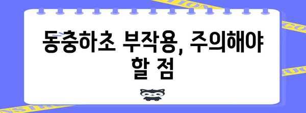 동충하초의 놀라운 효능과 섭취 방법 | 건강, 면역력, 항암, 섭취, 효과, 부작용