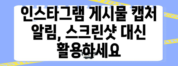 인스타그램 게시물 캡처 알림 설정 | 스크린샷 대신