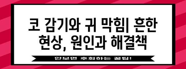 코 감기와 귀 막힘 | 증상, 원인, 해결책