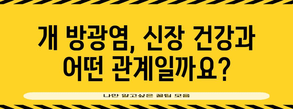 개 방광염 환자를 위한 신장 건강 영양제 | 강아지의 신장 기능을 지키는 비결