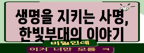 남수단 평화유지군의 영웅담 | 한빛부대의 이야기