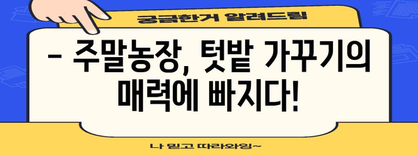 2024 주말농장 시작하기 | 포괄적 안내서