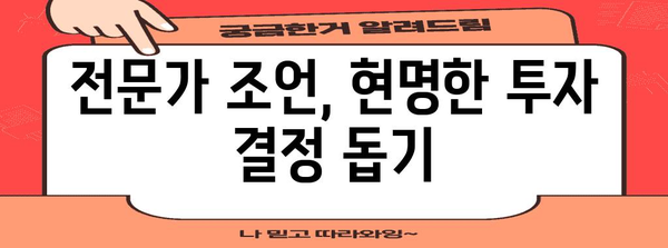 투자 위험 최소화! 금융 전망 고려한 투자 방법