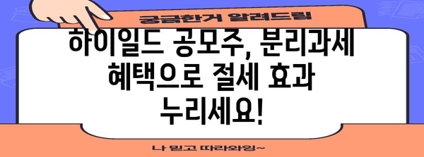 하이일드 공모주 투자 | 분리과세 혜택 활용법