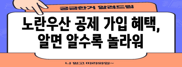 노란우산 공제 가입 혜택 | 폐업 절차 및 전문가 팁