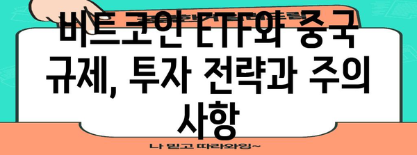 비트코인 ETF와 중국의 암호화폐 규제 | 시장 분석과 전망