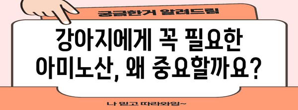 강아지 건강 영양제 | 아미노산의 중요성과 제품 추천