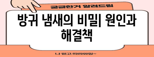 방귀 냄새 지독한 원인, 해결법 완벽 정리