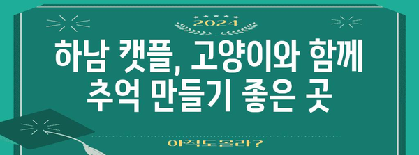 하남 캣플, 고양이 애호가의 천국 | 행복한 시간과 귀여운 순간