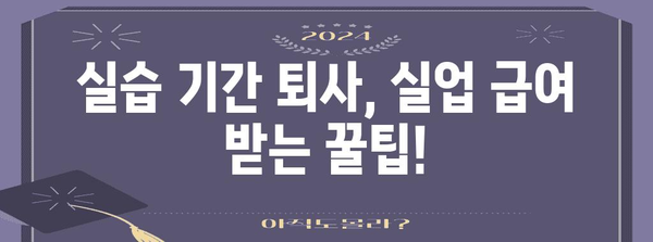 실업 급여 조건 변화 | 실습 기간 퇴사와 4대 보험에 미치는 영향