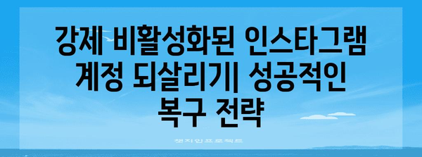 인스타그램 계정 복구 방법론 | 강제 비활성화 해제 성공사례