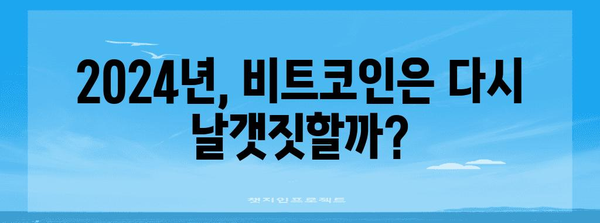 신년 비트코인 전망 | 투자가의 희망과 우려