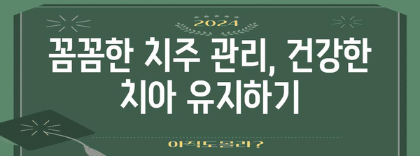 신분증 필수! 종촌동 치과 방문 안내와 예방 치주 관리 방법