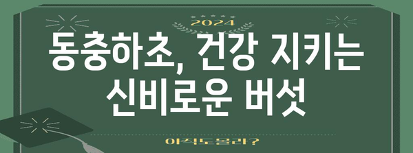 동충하초의 놀라운 효능과 섭취 방법 | 건강, 면역력, 항암, 섭취, 효과, 부작용