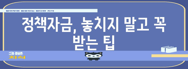 정부 정책자금 신청의 완벽한 시기 | 오픈부터 마감까지 가이드