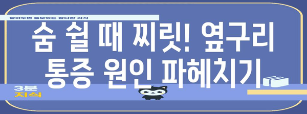 왼쪽 옆구리 통증 해결법 | 원인부터 해결 운동까지