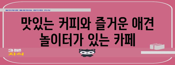 애견과 함께하는 하남 카페 | 골든타임을 위한 이상적인 장소