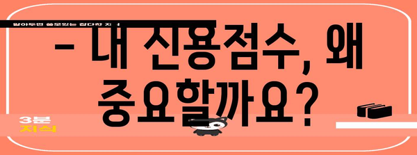 KCB 신용점수 완벽 가이드 | 등급 확인과 향상법