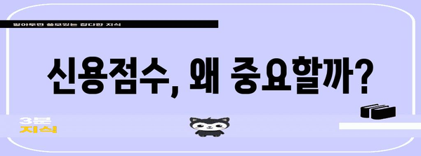 신용점수 평가 완전 해부 | 점수표 활용과 신용관리