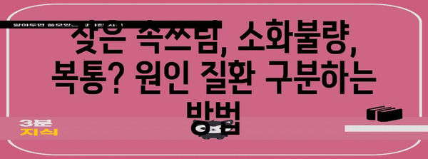 위염, 역류성 식도염, 과민성 대장 증후군 차이점 이해