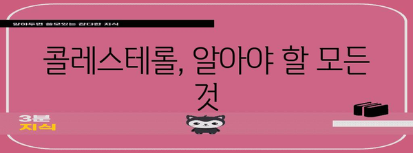 콜레스테롤 관리의 알파벳, 식단에서 약물까지 모두 공개