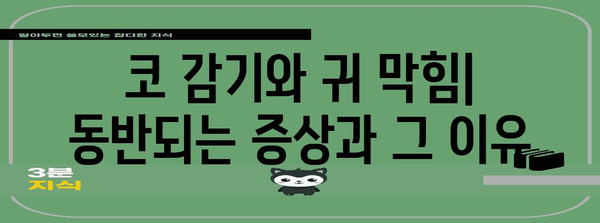 코 감기와 귀 막힘 | 증상, 원인, 해결책