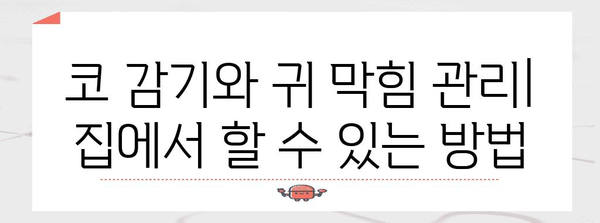 코 감기와 귀 막힘 | 증상, 원인, 해결책