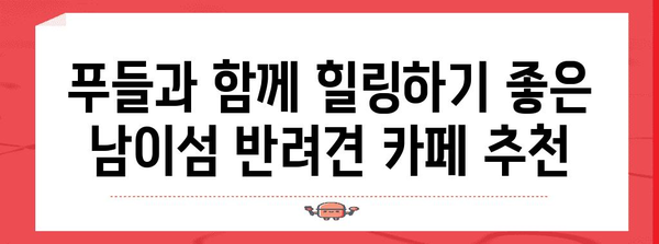 남이섬 반려견 카페 5곳 추천 | 푸들과 함께하는 달콤한 추억