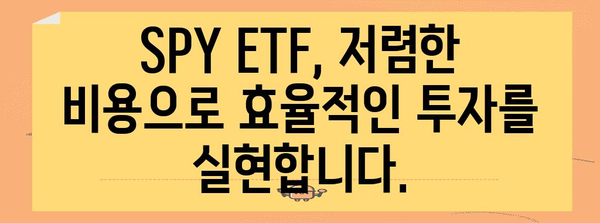 S&P 500 투자의 완벽한 방법 | 미국 SPY ETF를 통한 전략