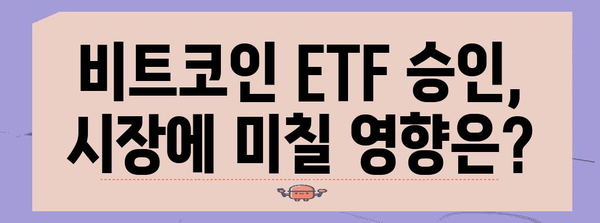 비트코인 ETF와 중국의 암호화폐 규제 | 시장 분석과 전망