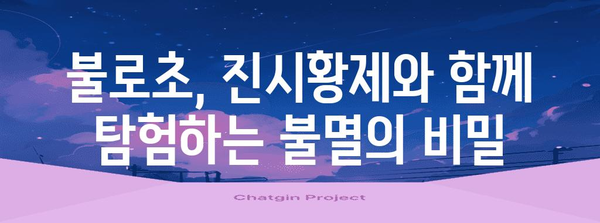 진시황제의 불로초 집착| 역사 속 불멸의 꿈과 현실 | 불로장생, 연금술, 중국 역사