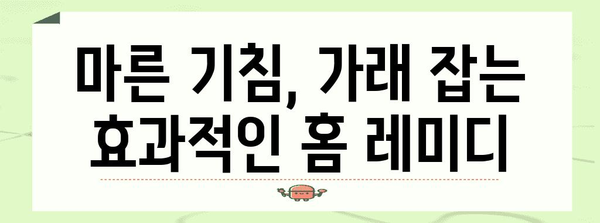 마른 기침과 가래 완화법 | 효과적인 홈 레미디와 치료 방법