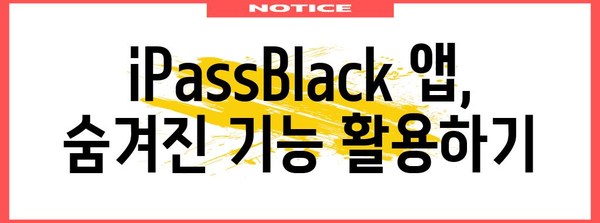 iPassBlack 활용 꿀팁 가이드, 더욱 편리하고 유용하게 사용하기